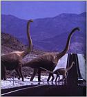 3 Dinosaurs