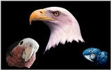 My own custumized wall papers, in JPG format - 3awsomes.jpg (1/1)