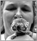 Two-faced kitty