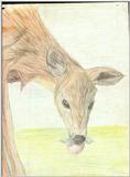 More artwork3