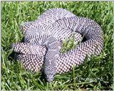 Here are some pics...  Brook's Kingsnake (Lampropeltis getula brooksi)