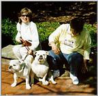 Bulldogs - bull02.jpg