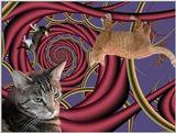 from 'Cats in Cyberspace'
