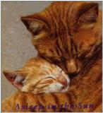 Cats in the Sun 12