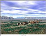 Cattle Drive