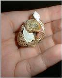 Hatching Baby Quail