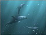 Re: Whales and dolphins