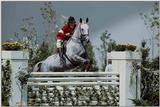 Horse-Jumping