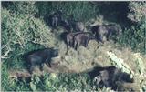 (P:\Africa\Ark) Dn-a0059.jpg (1/1) (135 K)