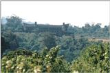(P:\Africa\Ark) Dn-a0077.jpg (1/1) (90 K)