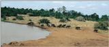 (P:\Africa\Ark-Run) Dn-a0088.jpg (1/1) (64 K)