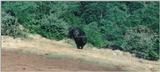 (P:\Africa\Ark-Run) Dn-a0089.jpg (1/1) (98 K)