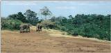 (P:\Africa\Ark-Run) Dn-a0090.jpg (1/1) (77 K)