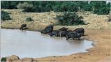 (P:\Africa\Ark-Run) Dn-a0094.jpg (1/1) (97 K)