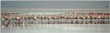 (P:\Africa\Bird) Dn-a0158.jpg (Flamingo flock)