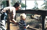 (P:\Africa\Giraffe) Dn-a0352.jpg (1/1) (113 K)