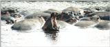 (P:\Africa\Hippo) Dn-a0396.jpg (1/1) (69 K)