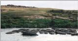 (P:\Africa\Hippo) Dn-a0399.jpg (1/1) (93 K)