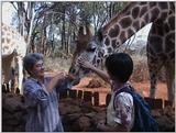 (P:\Africa\VideoStills) Dn-a1014.jpg (1/1) (92 K)