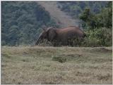 (P:\Africa\VideoStills) Dn-a1040.jpg (1/1) (89 K)