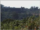 (P:\Africa\VideoStills) Dn-a1041.jpg (1/1) (87 K)