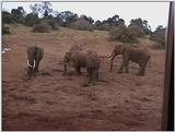 (P:\Africa\VideoStills) Dn-a1061.jpg (1/1) (95 K)