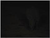 (P:\Africa\VideoStills) Dn-a1074.jpg (1/1) (83 K)