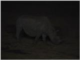 (P:\Africa\VideoStills) Dn-a1075.jpg (1/1) (91 K)