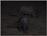 (P:\Africa\VideoStills) Dn-a1076.jpg (1/1) (84 K)