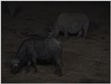 (P:\Africa\VideoStills) Dn-a1077.jpg (1/1) (86 K)