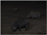 (P:\Africa\VideoStills) Dn-a1078.jpg (1/1) (84 K)