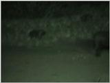 (P:\Africa\VideoStills) Dn-a1089.jpg (1/1) (82 K)