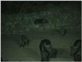 (P:\Africa\VideoStills) Dn-a1090.jpg (1/1) (87 K)