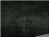 (P:\Africa\VideoStills) Dn-a1093.jpg (1/1) (87 K)