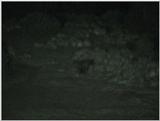 (P:\Africa\VideoStills) Dn-a1096.jpg (1/1) (90 K)