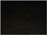 (P:\Africa\VideoStills) Dn-a1104.jpg (1/1) (83 K)