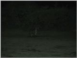 (P:\Africa\VideoStills) Dn-a1105.jpg (1/1) (93 K)