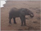 (P:\Africa\VideoStills) Dn-a1118.jpg (1/1) (91 K)