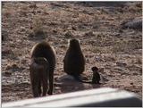 (P:\Africa\VideoStills) Dn-a1145.jpg (1/1) (90 K)