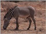 (P:\Africa\VideoStills) Dn-a1214.jpg (1/1) (91 K)