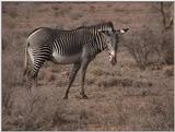 (P:\Africa\VideoStills) Dn-a1234.jpg (1/1) (91 K)