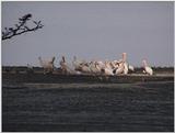 (P:\Africa\VideoStills) Dn-a1284.jpg (1/1) (87 K)