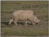 (P:\Africa\VideoStills) Dn-a1286.jpg (1/1) (85 K)