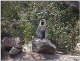(P:\Africa\VideoStills) Dn-a1395.jpg (1/1) (91 K)