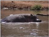 (P:\Africa\VideoStills) Dn-a1397.jpg (1/1) (93 K)