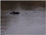 (P:\Africa\VideoStills) Dn-a1398.jpg (1/1) (95 K)