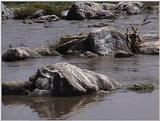 (P:\Africa\VideoStills) Dn-a1401.jpg (river)