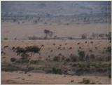 (P:\Africa\VideoStills) Dn-a1425.jpg (1/1) (94 K)