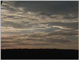 (P:\Africa\VideoStills) Dn-a1426.jpg (1/1) (84 K)