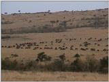 (P:\Africa\VideoStills) Dn-a1437.jpg (1/1) (89 K)